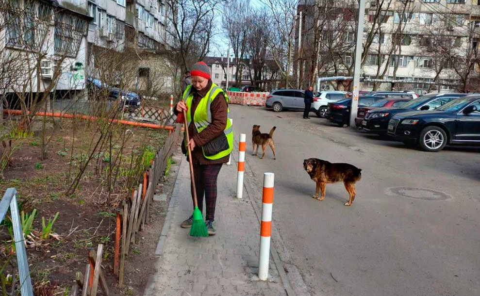 «Екологія-Д» приділяє велику увагу ліквідації стихійних сміттєзвалищ