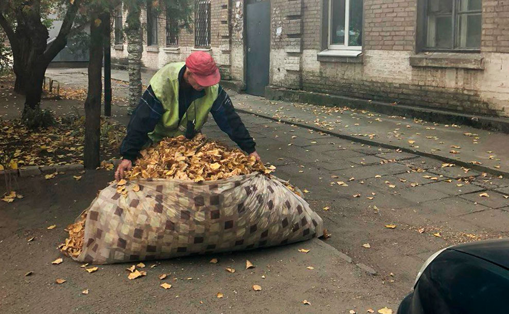 Належний догляд за прибудинковими територіями від Екологія-Д