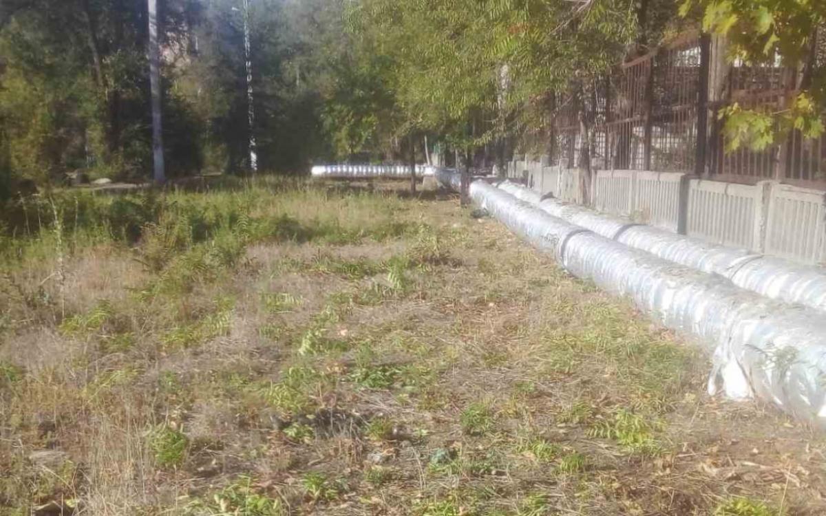 Екологія-Д