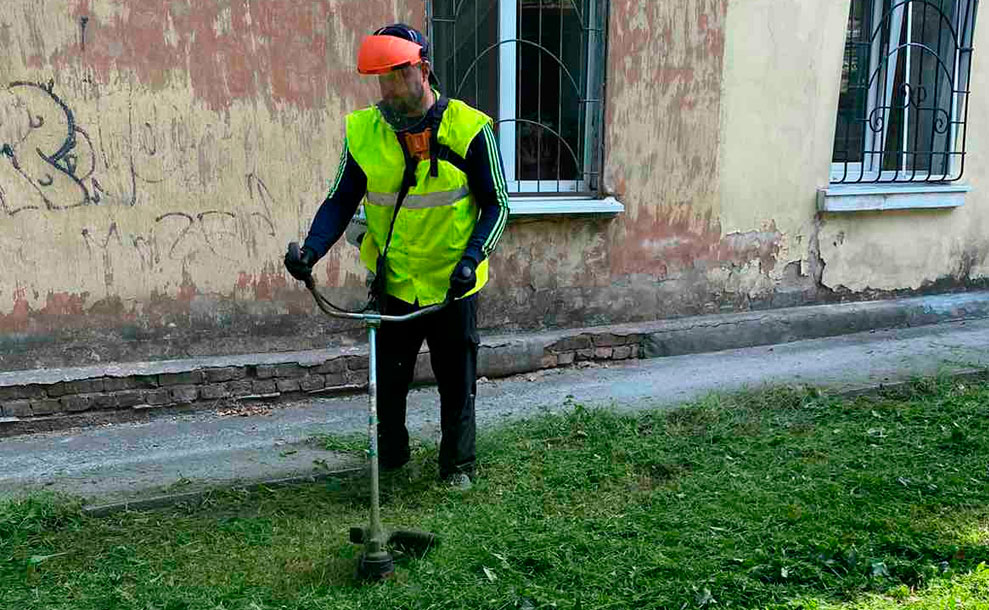 Покіс 28-31 серпня