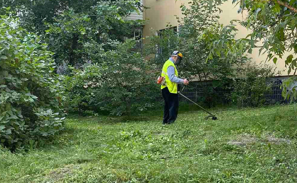 Трав'яні площі Дніпра регулярно скошують, щоб забезпечити громадську безпеку та доглянутість міста.