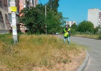 Працівники «Екології-Д» продовжують прибирання прибудинкової території