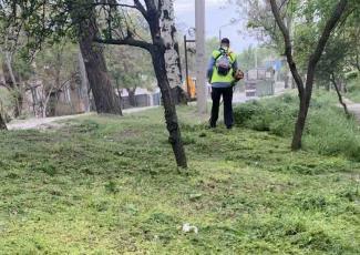 «Екологія Д» розпочала сезон покосу трави