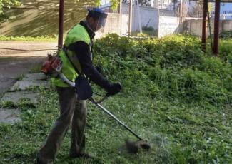 Боротьба з бур’янами триває: «Екологія-Д» на варті міста