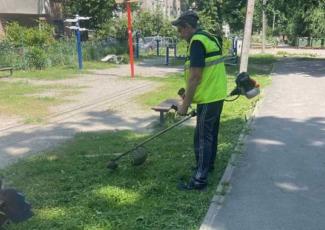 Компанія « Екологія-Д» регулярно проводить покіс трави