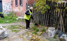 Зимова підготовка міста: чисті тротуари та доглянуті зони відпочинку