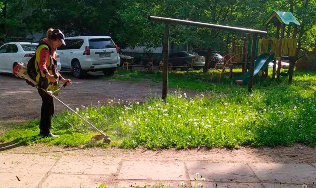 Покіс трави – забеспечує охайний вигляд  міських вулиць та дворів