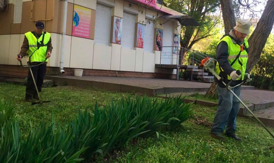 Покіс трави