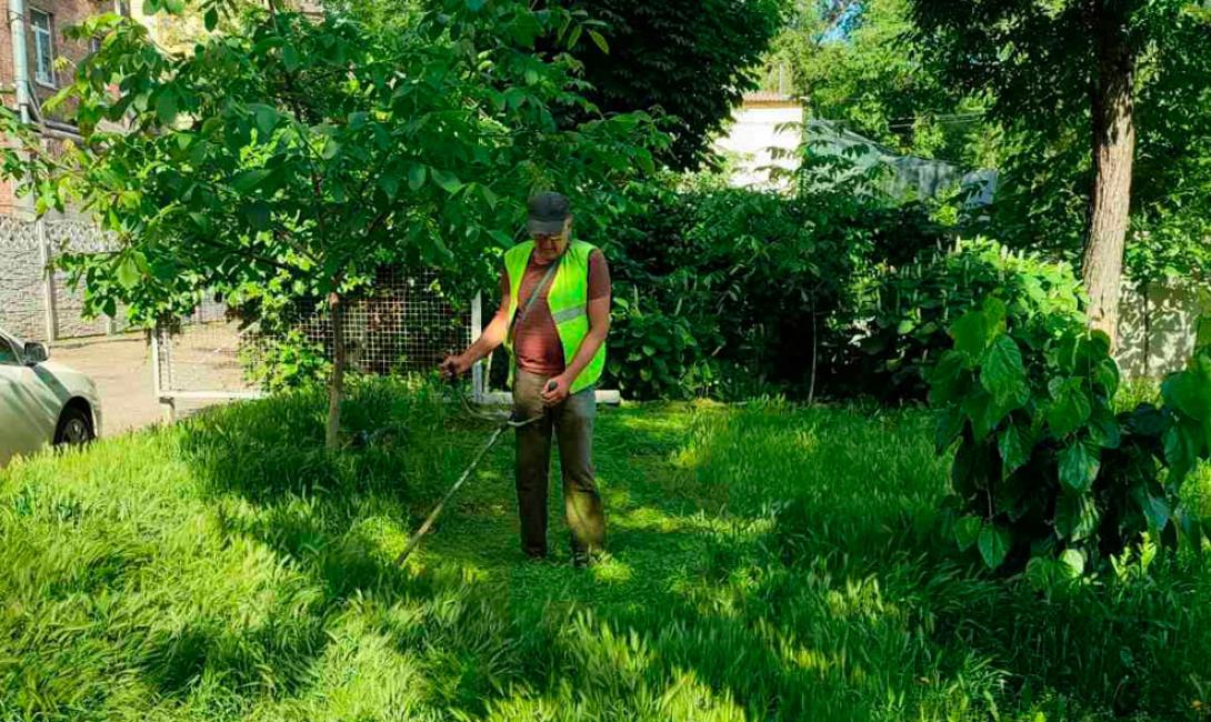Покіс трави вимагає не більше часу, ніж будь-яка інша процедура догляду за довкіллям