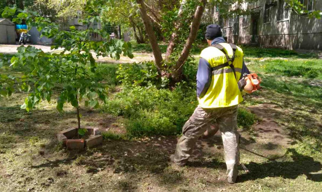 як робітники «Екології-Д» дбають про чистоту вулиць
