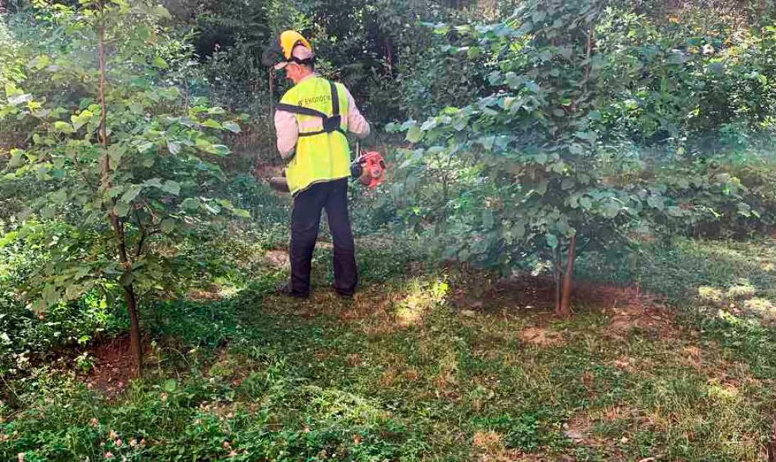 «Екологія-Д» продовжує забезпечувати належний порядок на вулицях міста