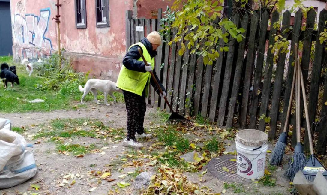 Зимова підготовка міста: чисті тротуари та доглянуті зони відпочинку