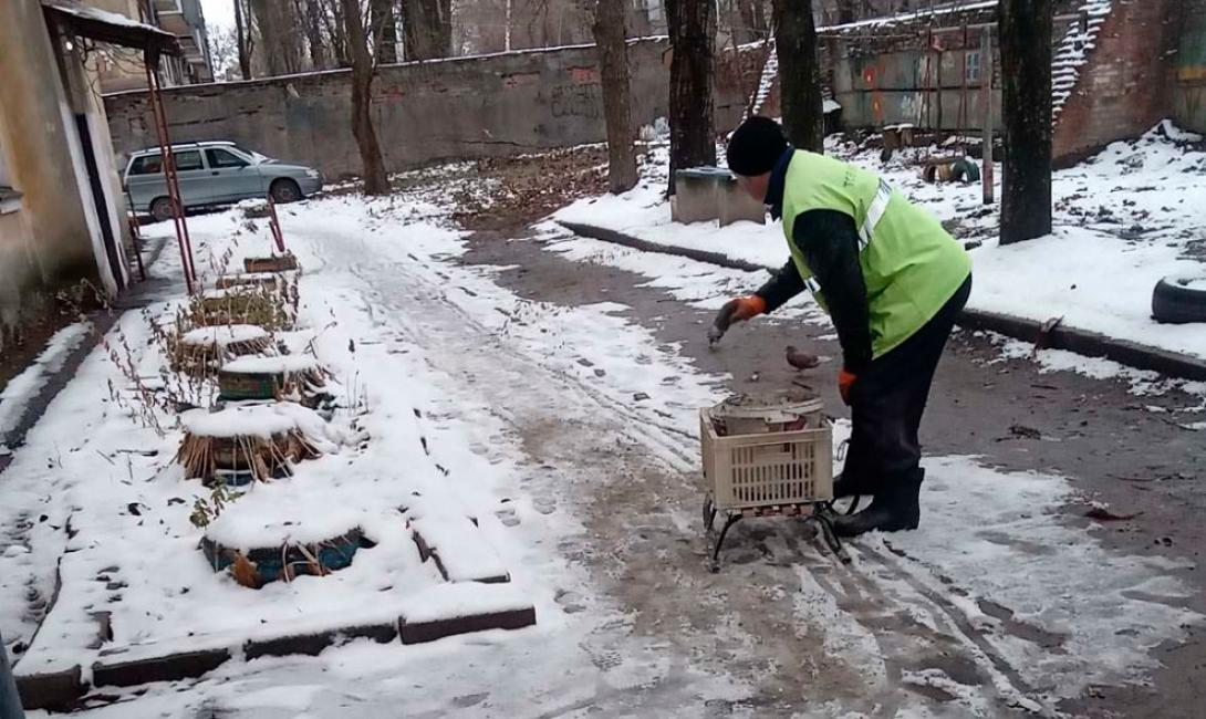 Екологія-Д: Чисті дороги та безпечні тротуари взимку